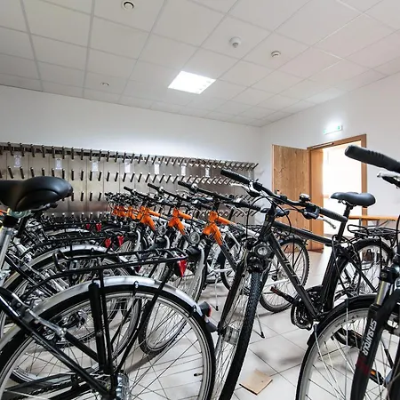 Der Wolkensteinbaer 3*