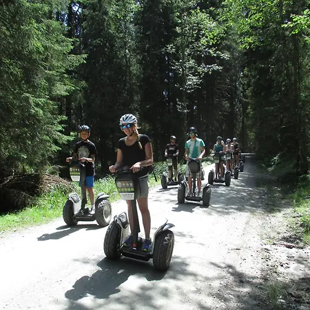 Hotell Der Wolkensteinbaer 3*