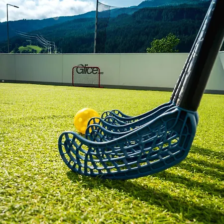 호텔 Der Wolkensteinbaer 3*